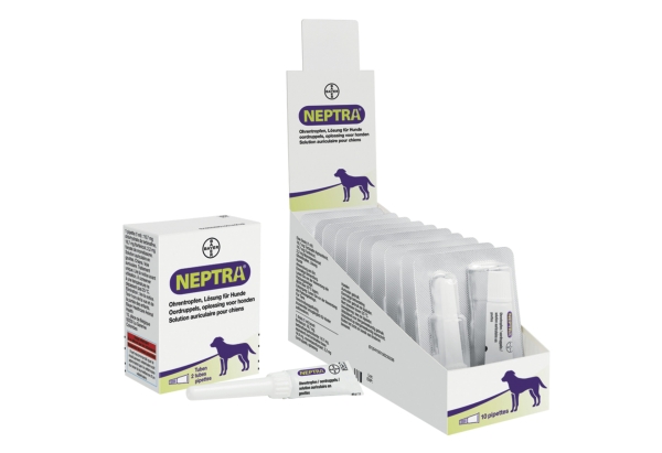 Neptra für Hunde Ohrentropfen 2 x 1 ml Veterinär Arzneimittel